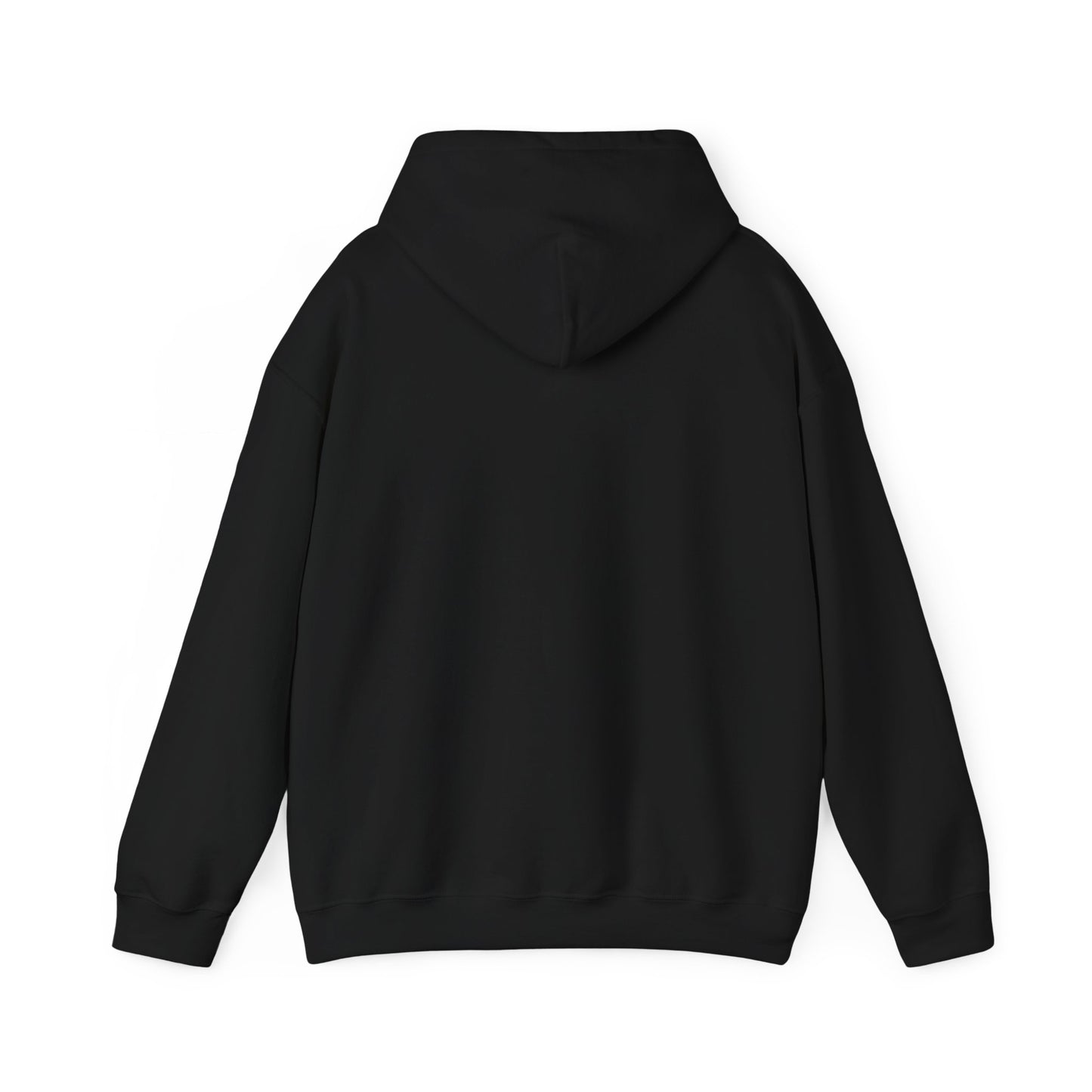 Classy CHABAD LUBAVITCH hoodie, EST. 1775