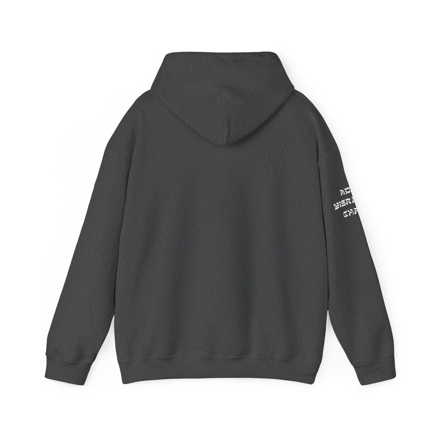 Indigenous Israelite (Unisex) hoodie - Jewish/Israel Pride