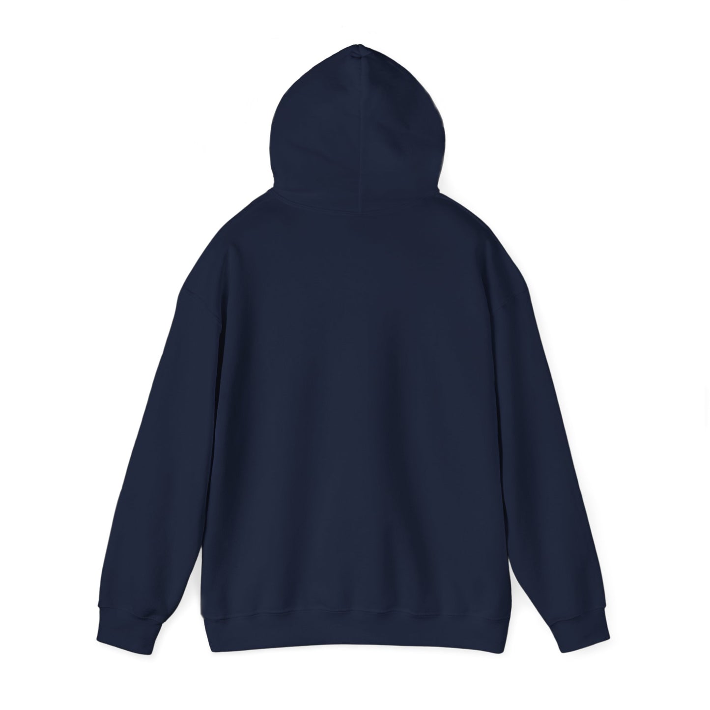 Classy CHABAD LUBAVITCH hoodie, EST. 1775