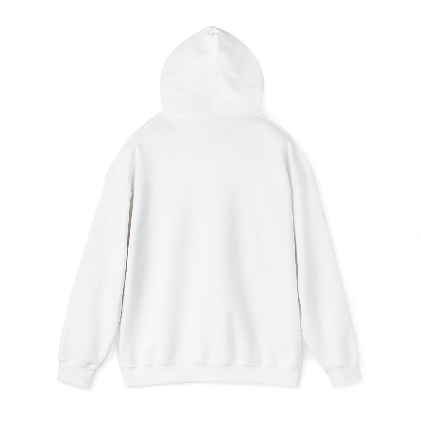 Classy CHABAD LUBAVITCH hoodie, EST. 1775