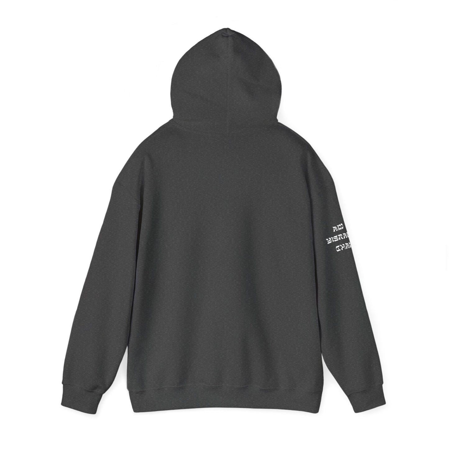 Indigenous Israelite (Unisex) hoodie - Jewish/Israel Pride