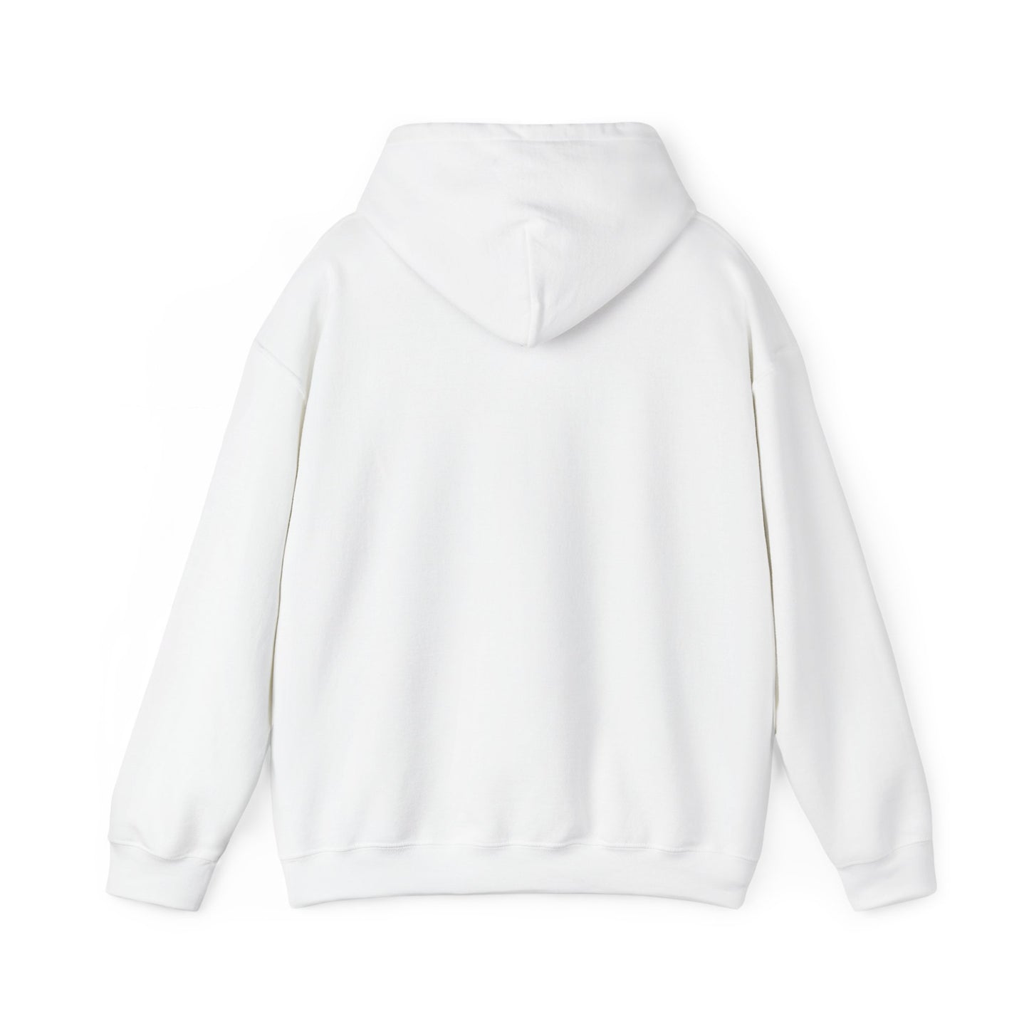 Classy CHABAD LUBAVITCH hoodie, EST. 1775