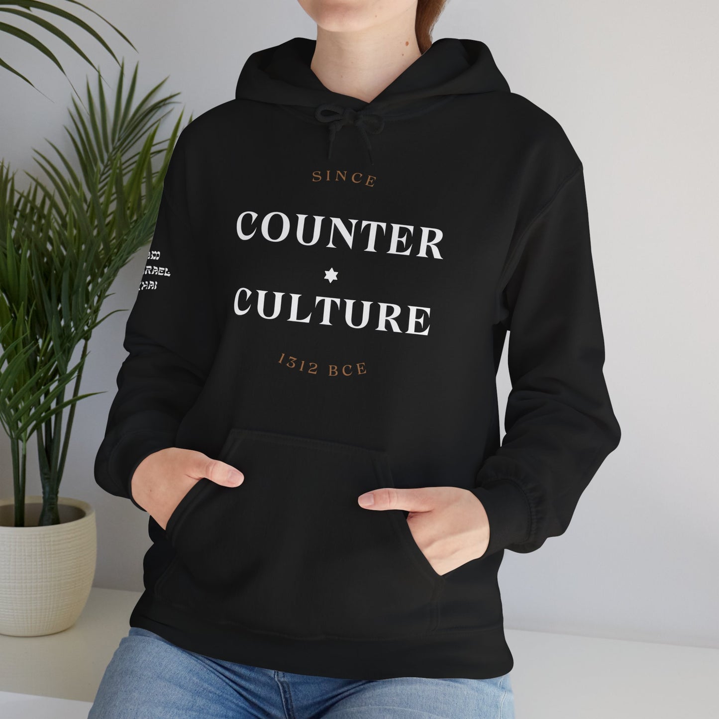 Counter Culture (Unisex) hoodie - Jewish/Israel Pride