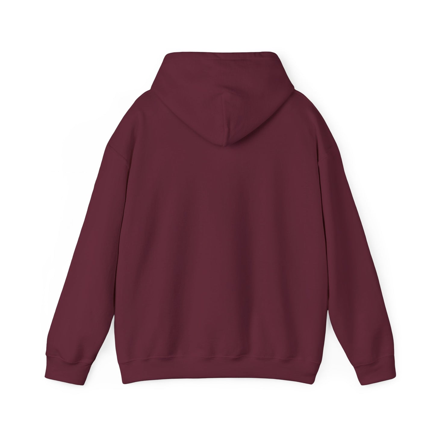 Classy CHABAD LUBAVITCH hoodie, EST. 1775