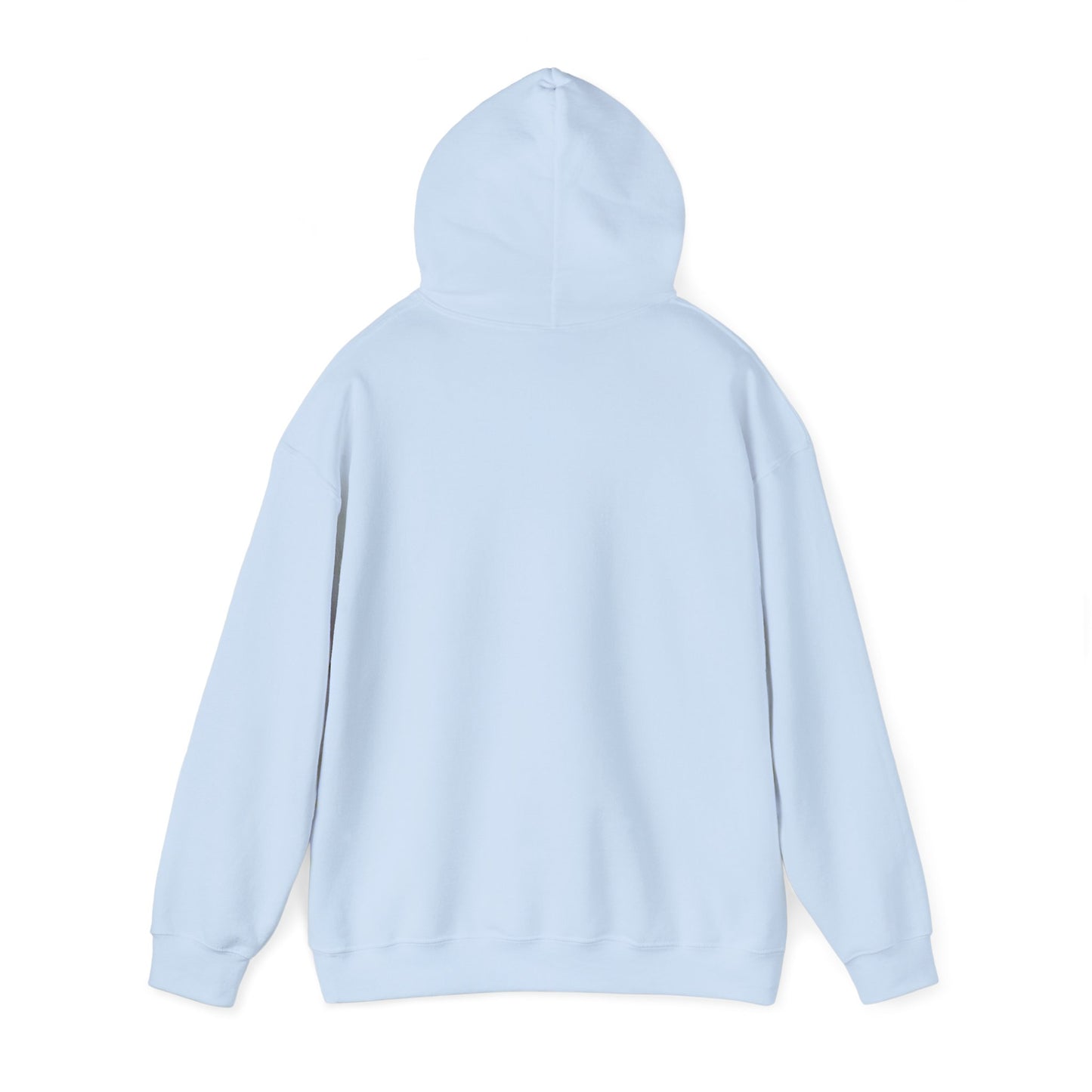 Classy CHABAD LUBAVITCH hoodie, EST. 1775