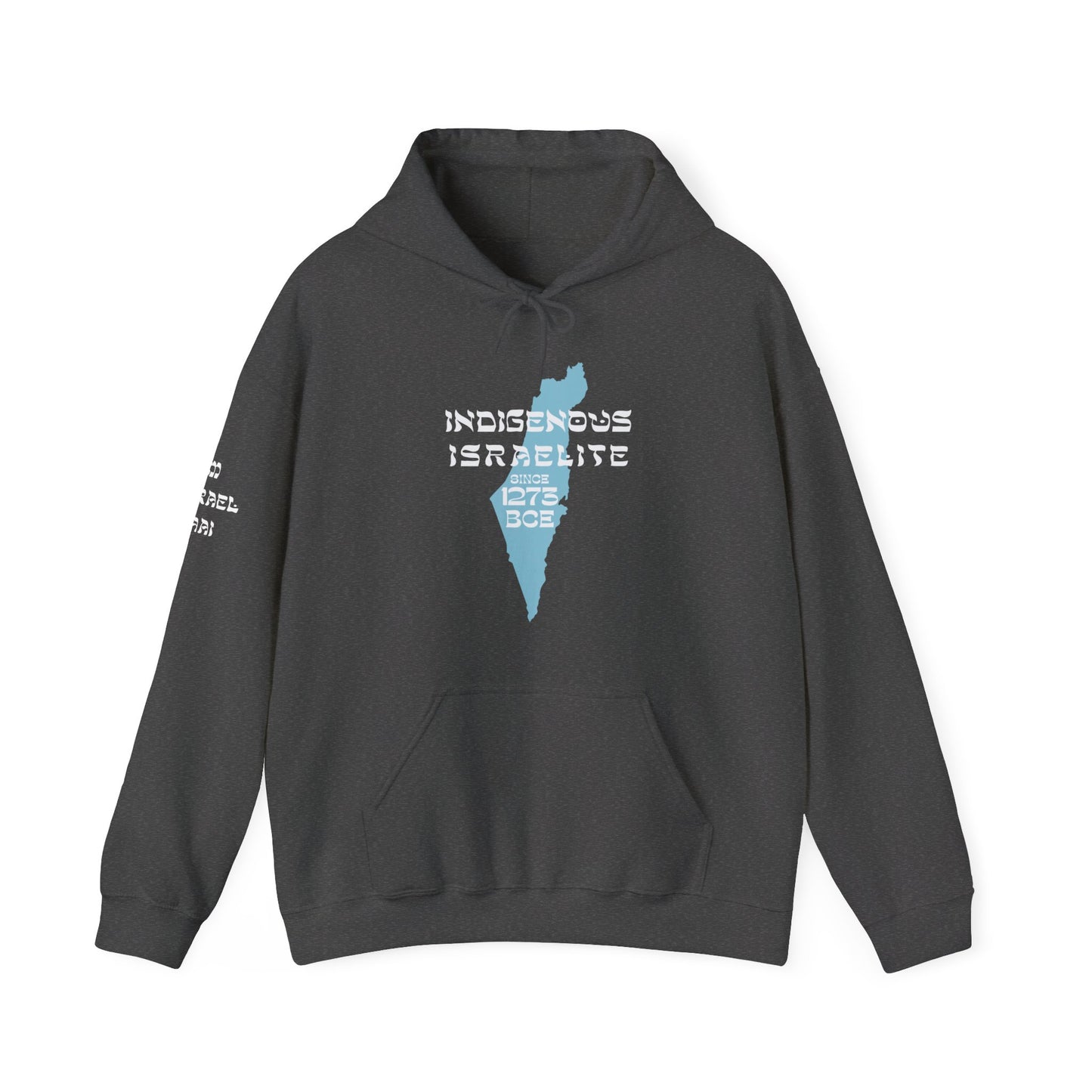 Indigenous Israelite (Unisex) hoodie - Jewish/Israel Pride