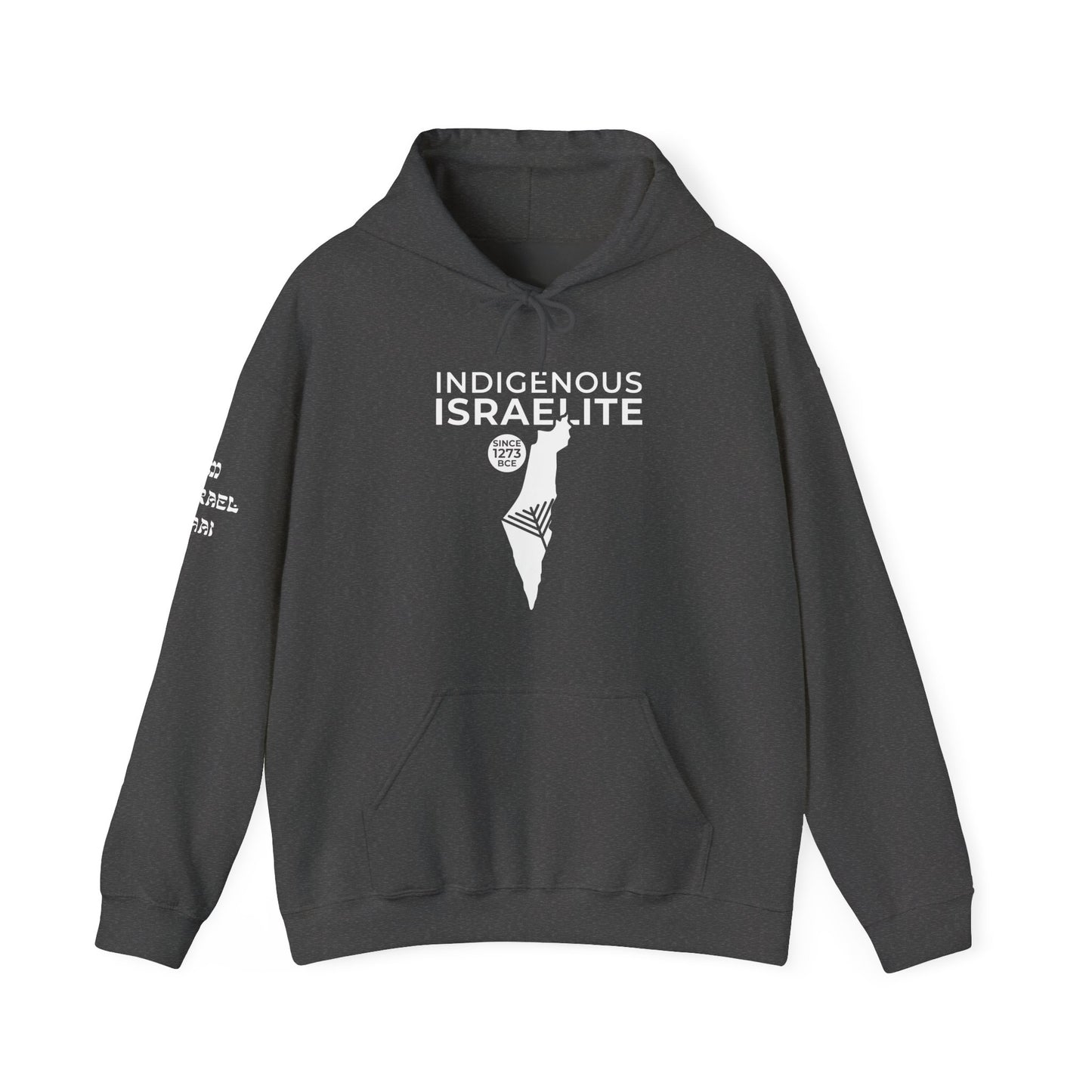 Indigenous Israelite (Unisex) hoodie - Jewish/Israel Pride
