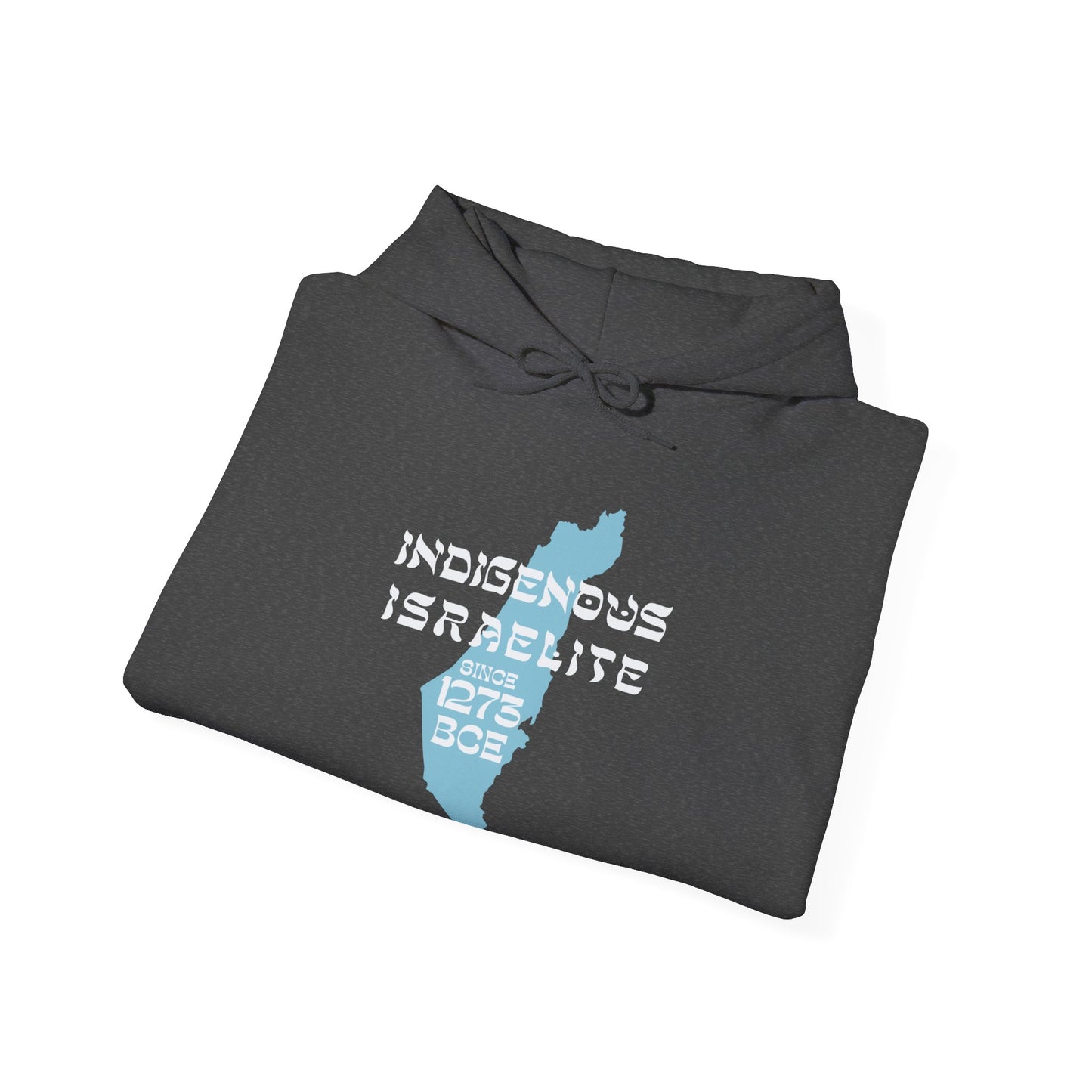 Indigenous Israelite (Unisex) hoodie - Jewish/Israel Pride