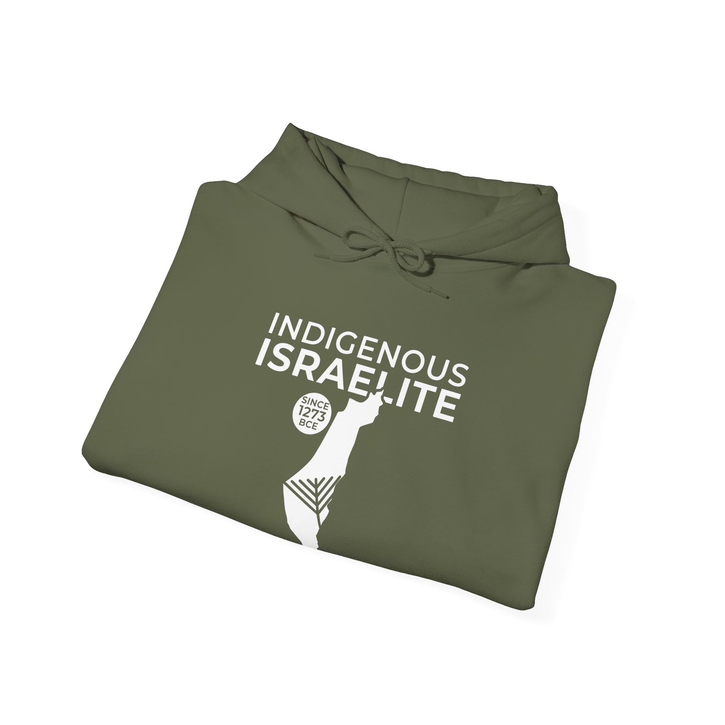 Indigenous Israelite (Unisex) hoodie - Jewish/Israel Pride