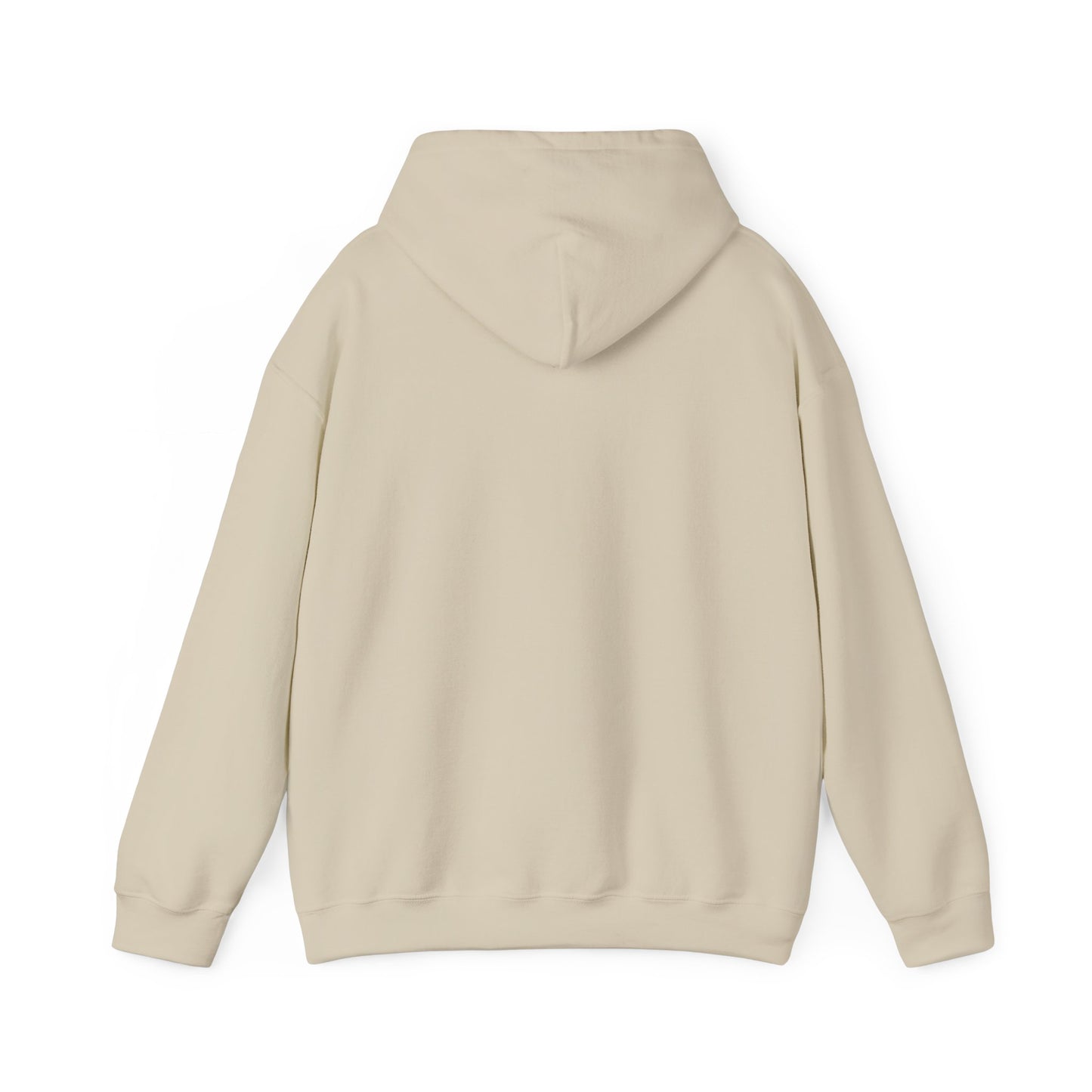 Classy CHABAD LUBAVITCH hoodie, EST. 1775