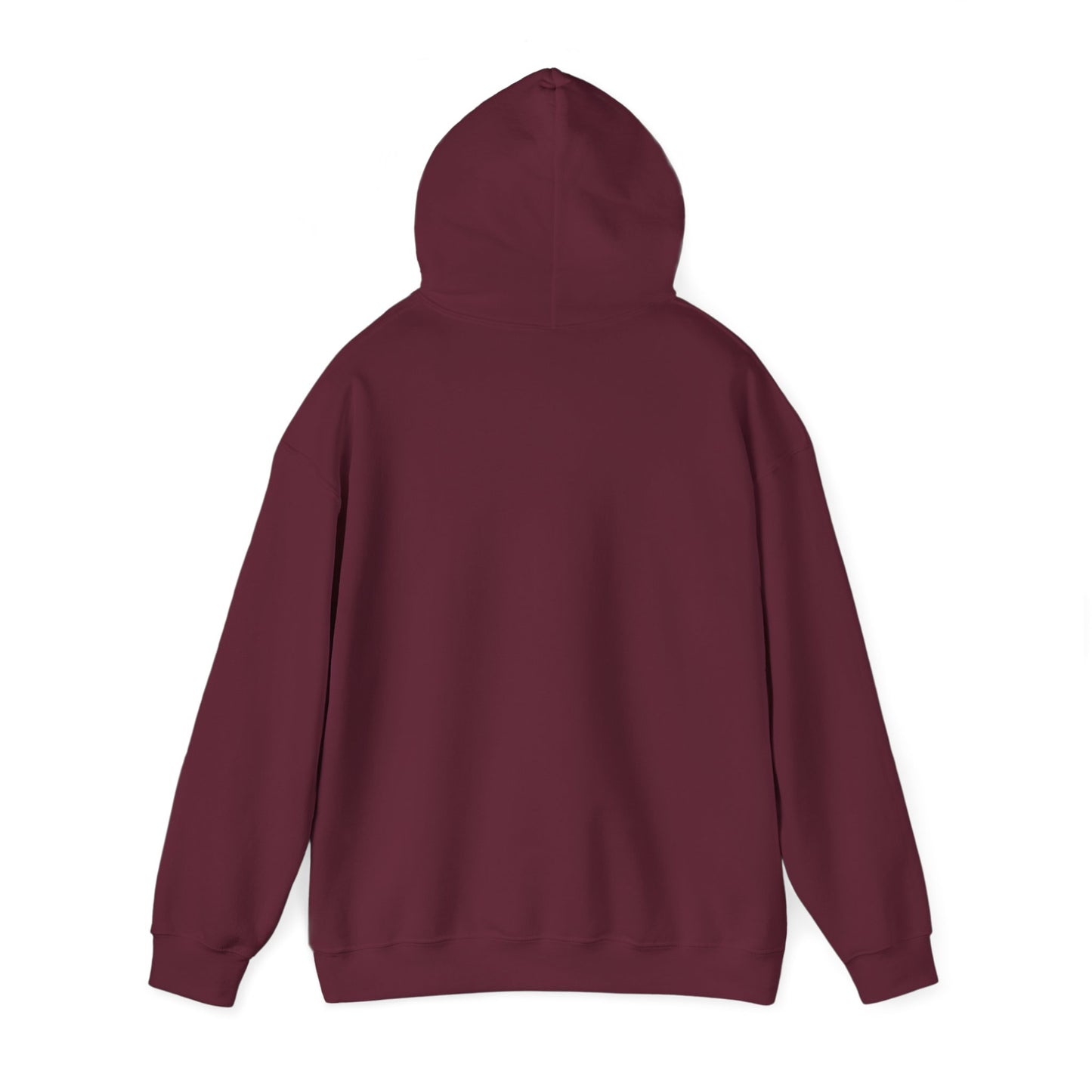 Classy CHABAD LUBAVITCH hoodie, EST. 1775