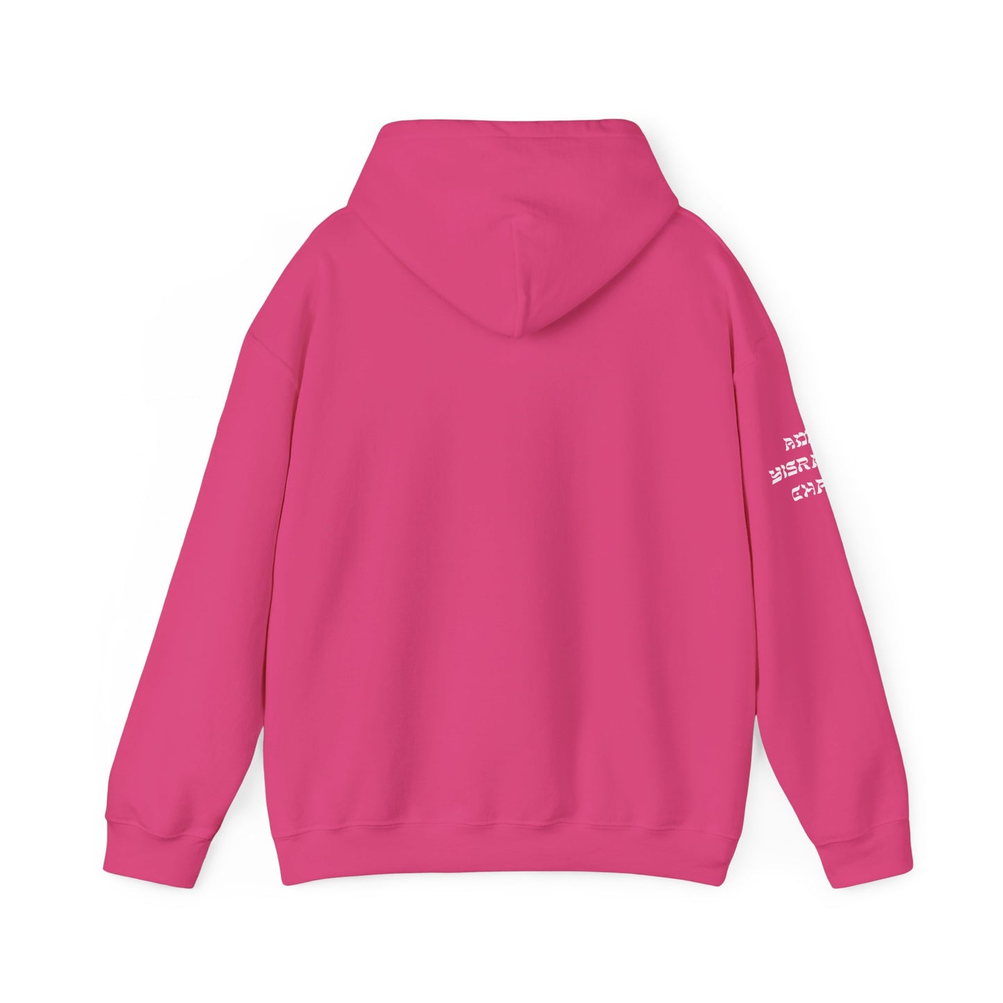 Indigenous Israelite (Unisex) hoodie - Jewish/Israel Pride