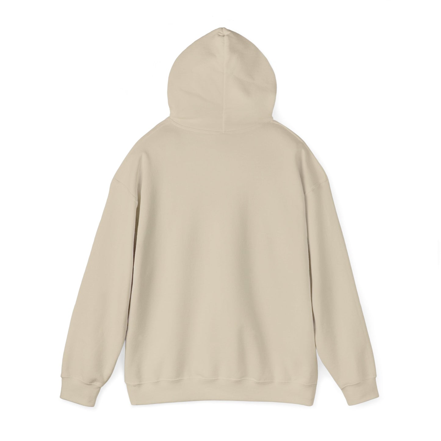 Classy CHABAD LUBAVITCH hoodie, EST. 1775