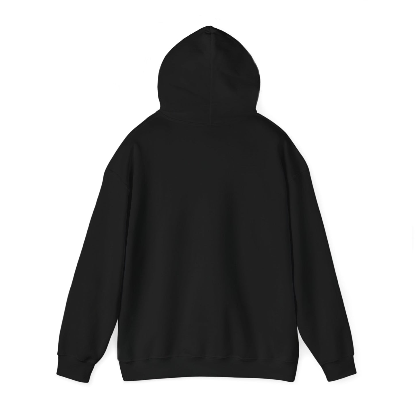 Classy CHABAD LUBAVITCH hoodie, EST. 1775