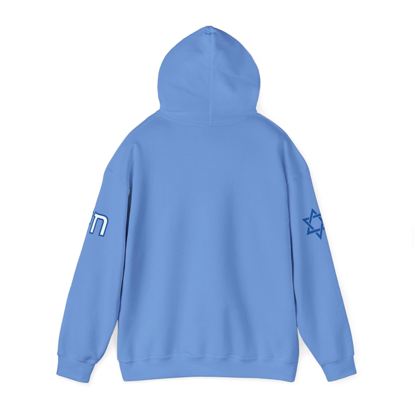 Soul on Sleeve (Unisex) hoodie - Jewish/Israel Pride