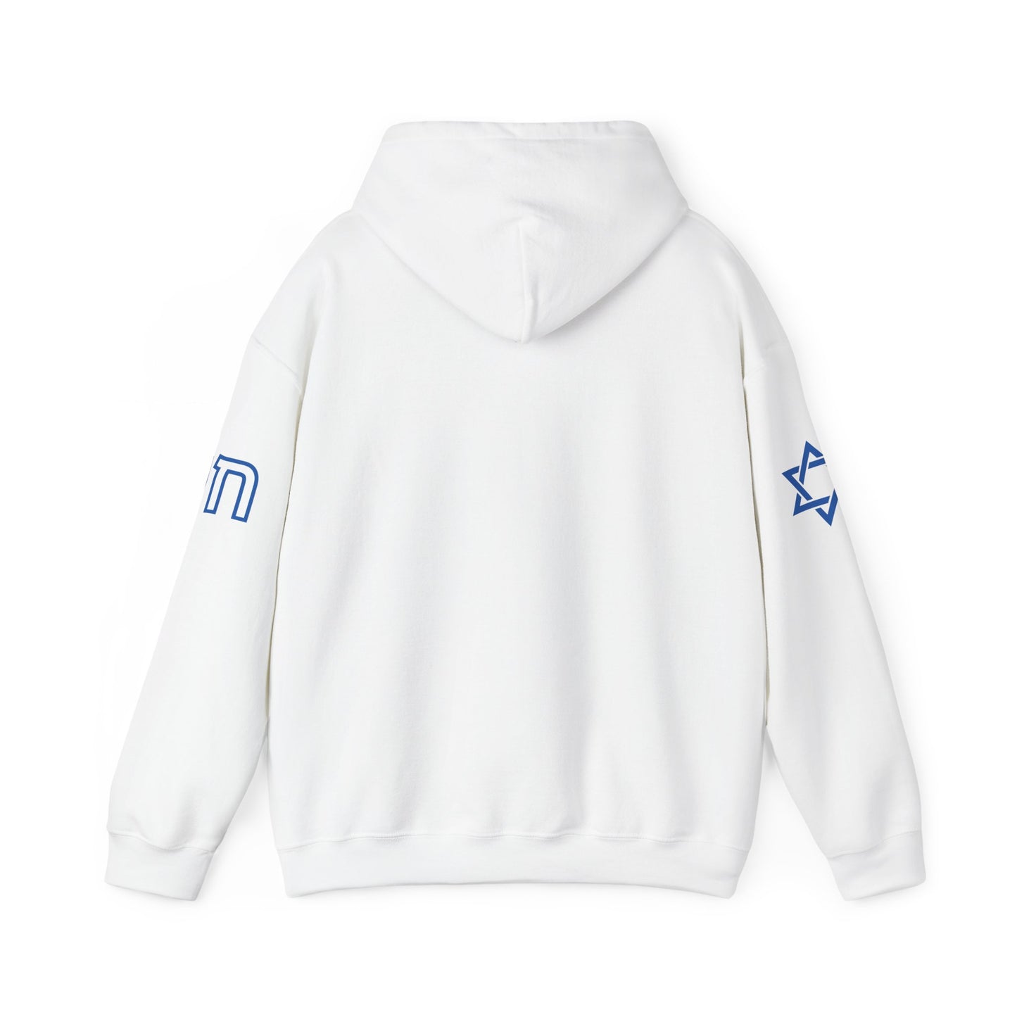 Soul on Sleeve (Unisex) hoodie - Jewish/Israel Pride