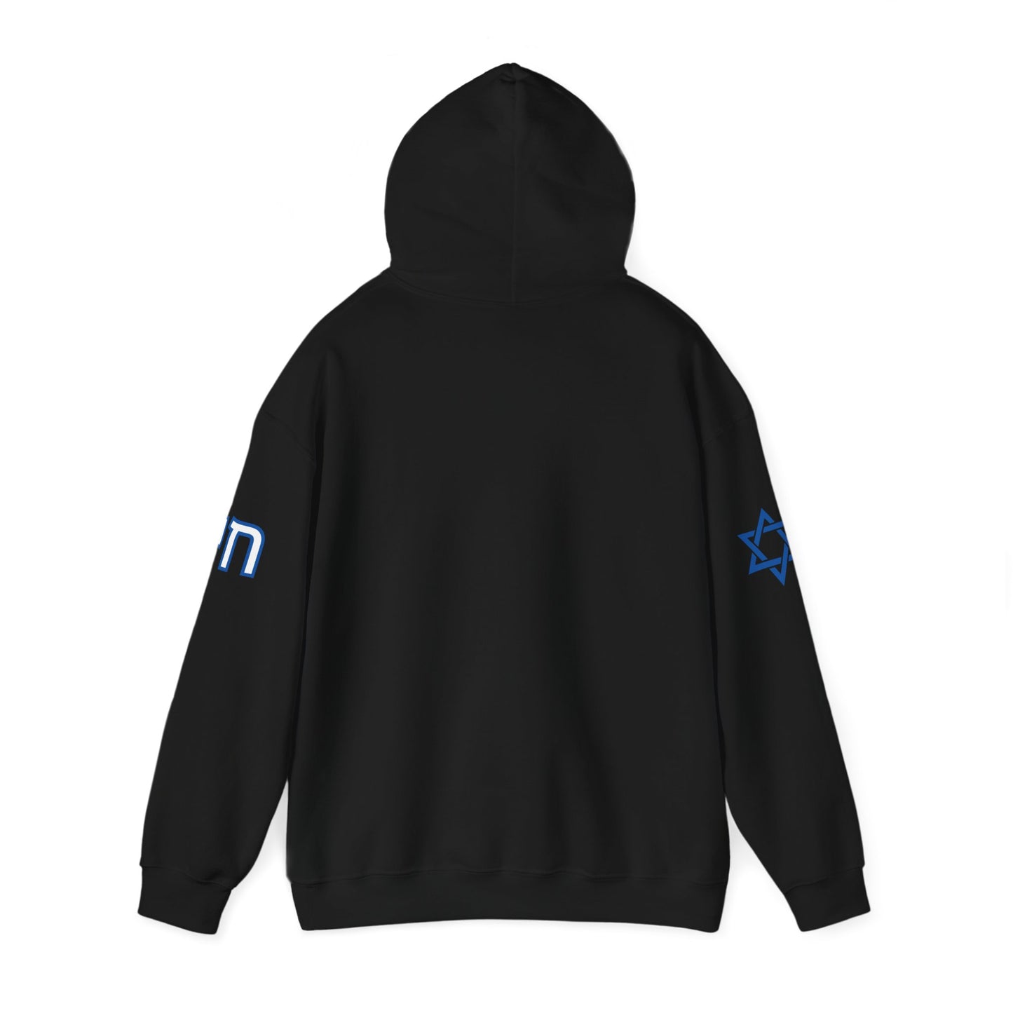 Soul on Sleeve (Unisex) hoodie - Jewish/Israel Pride