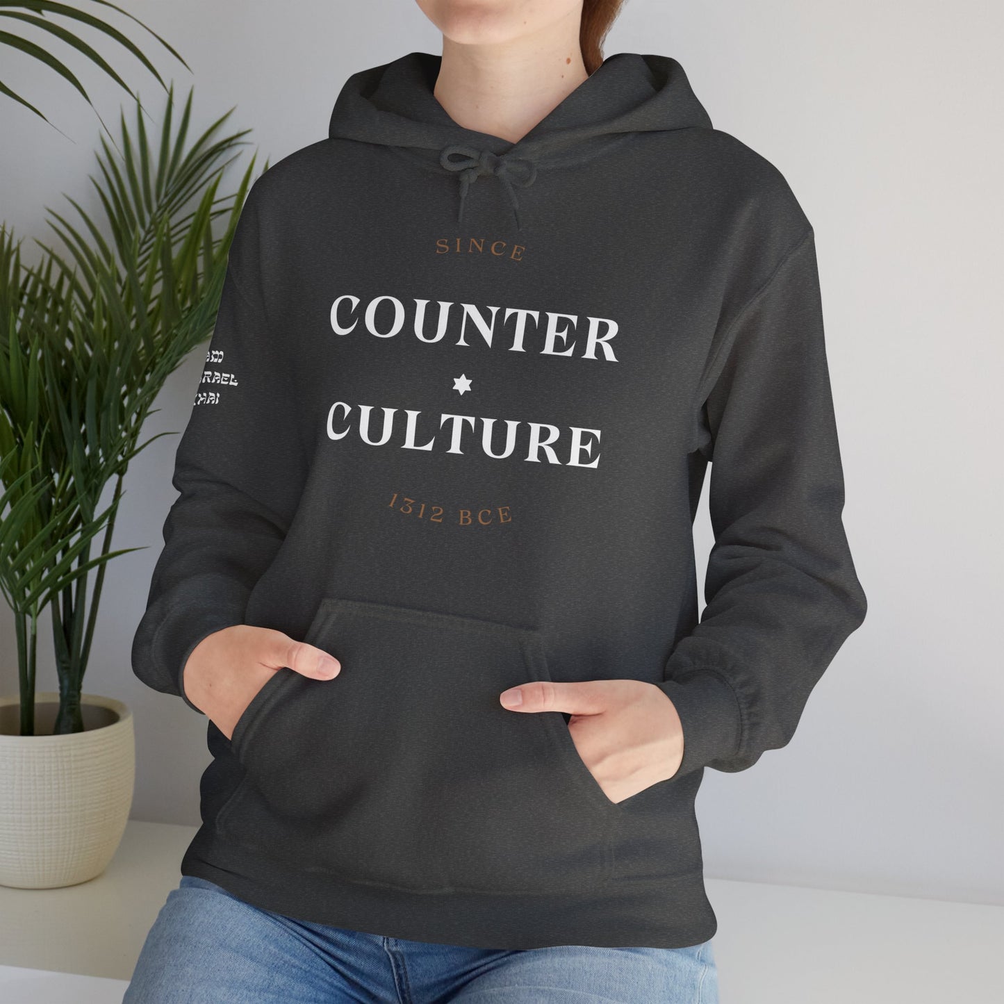 Counter Culture (Unisex) hoodie - Jewish/Israel Pride