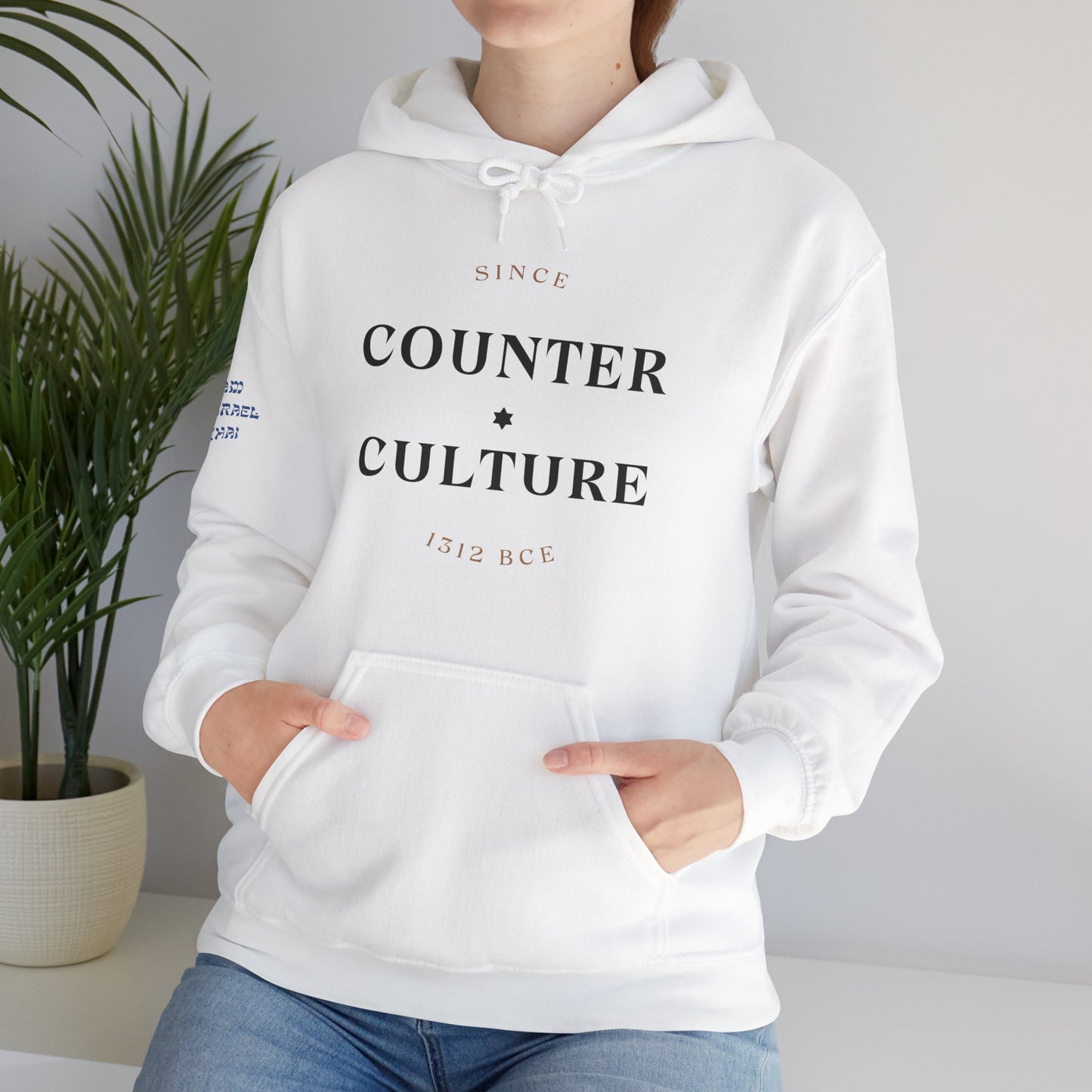 Counter Culture (Unisex) hoodie - Jewish/Israel Pride