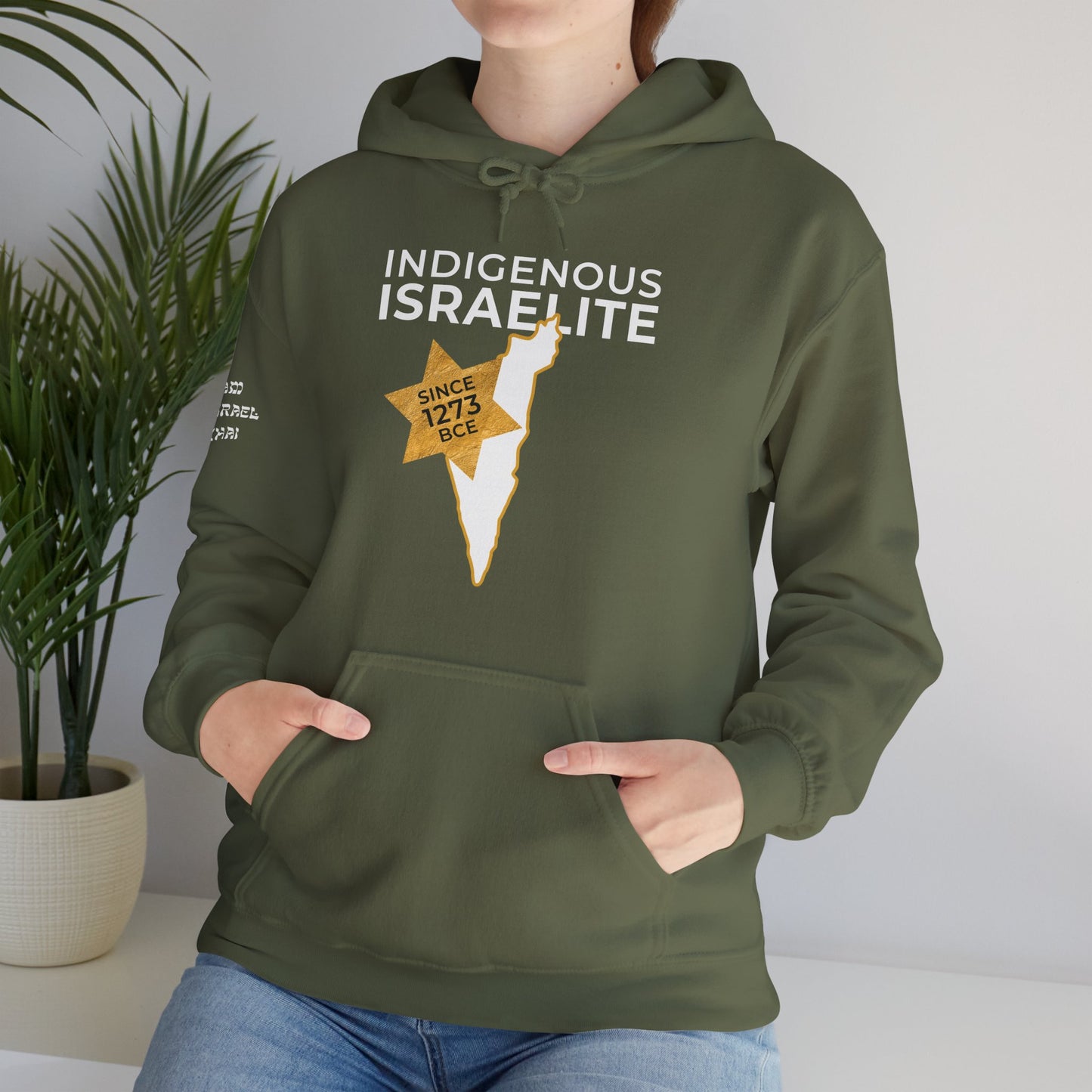 Indigenous Israelite (Unisex) hoodie - Jewish/Israel Pride