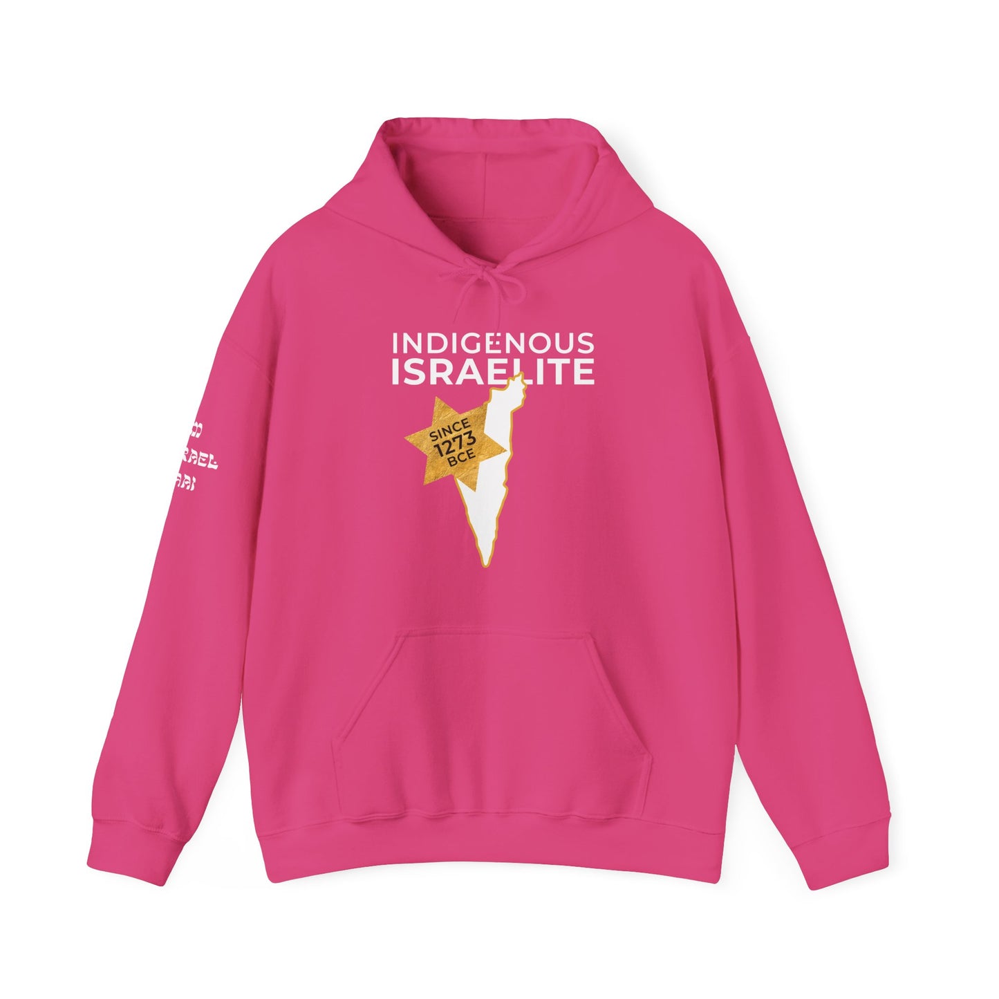 Indigenous Israelite (Unisex) hoodie - Jewish/Israel Pride