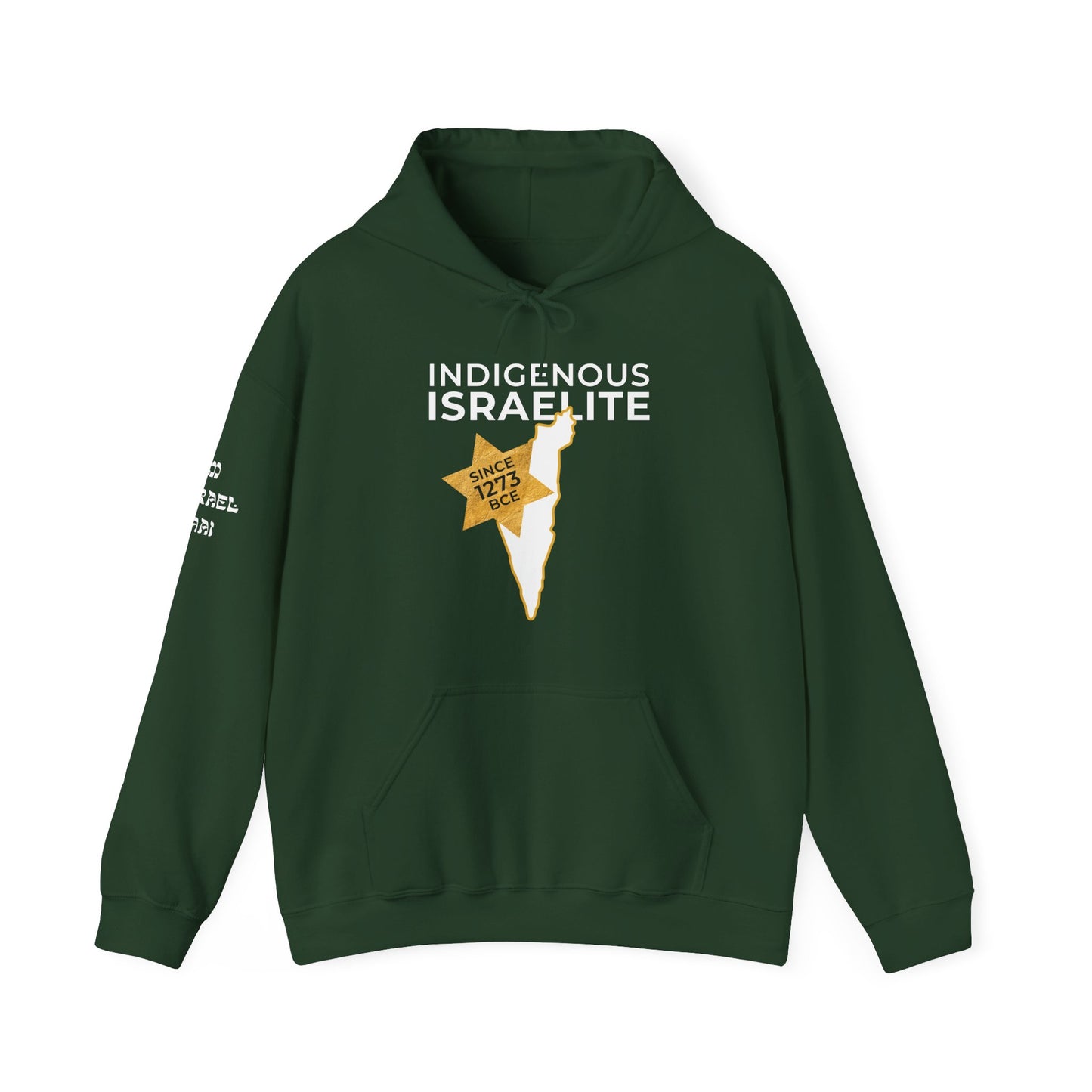 Indigenous Israelite (Unisex) hoodie - Jewish/Israel Pride