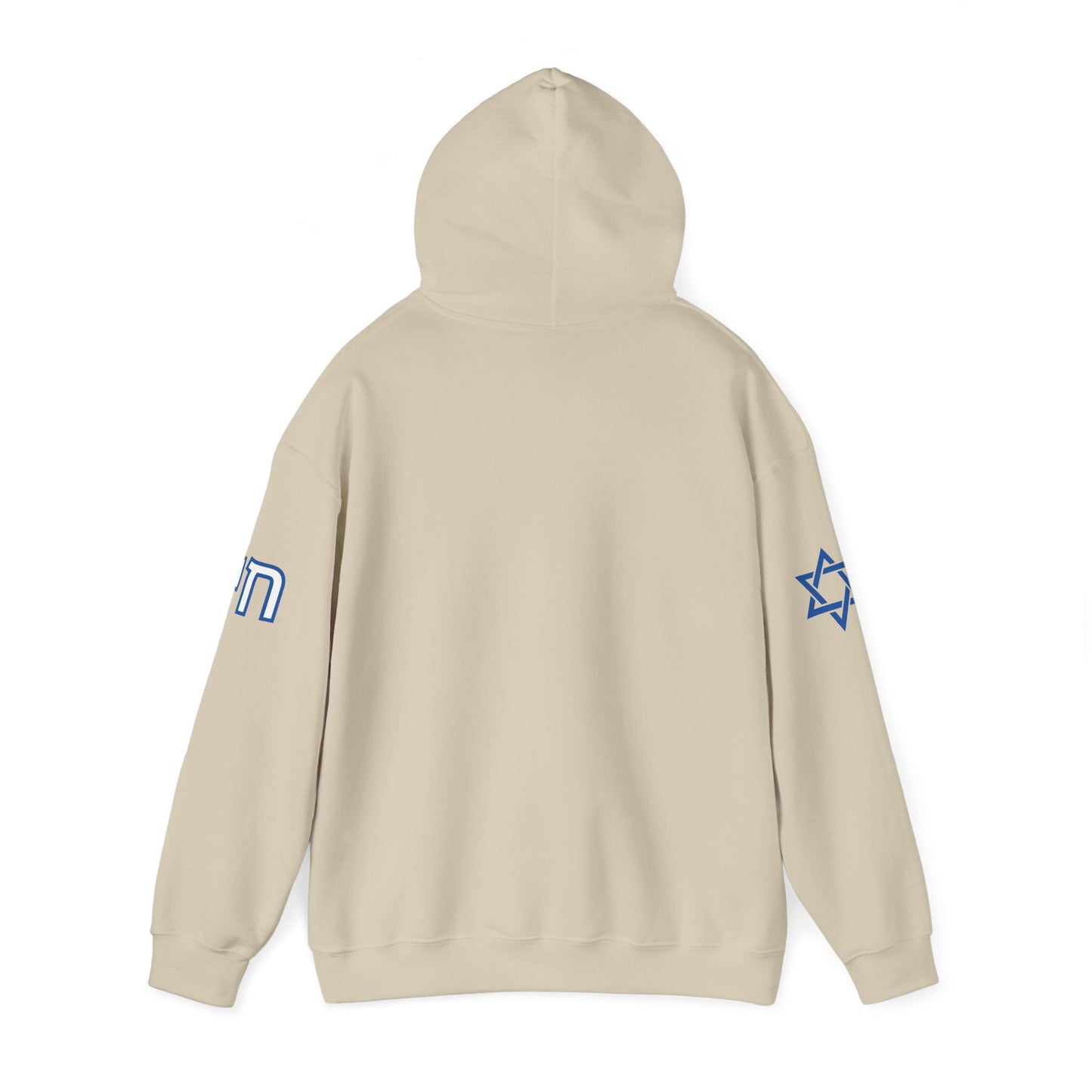 Soul on Sleeve (Unisex) hoodie - Jewish/Israel Pride