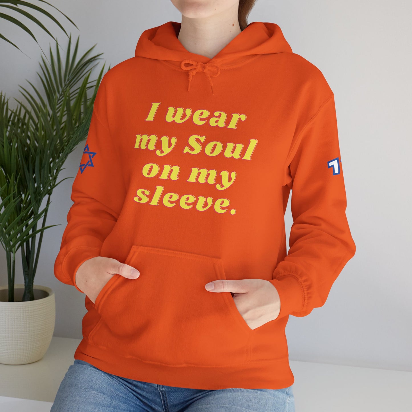 Soul on Sleeve (Unisex) hoodie - Jewish/Israel Pride