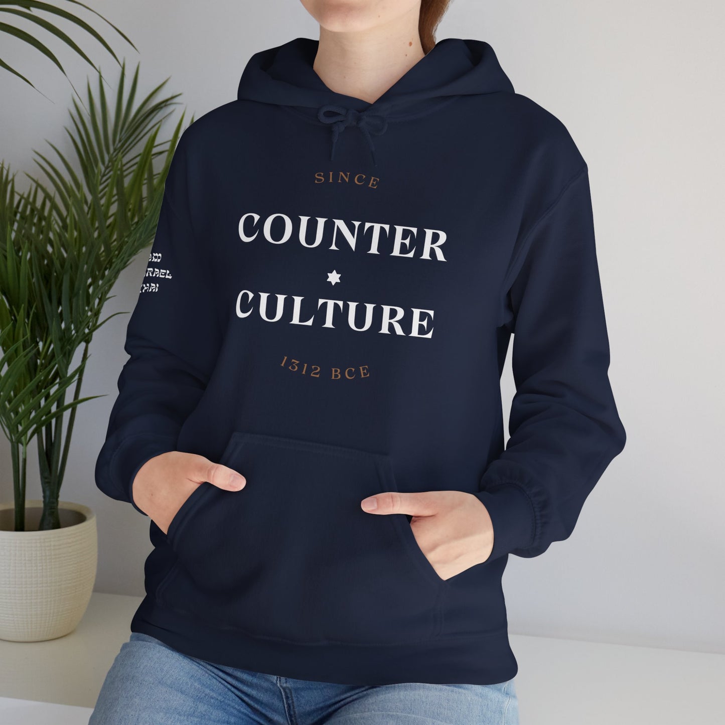 Counter Culture (Unisex) hoodie - Jewish/Israel Pride