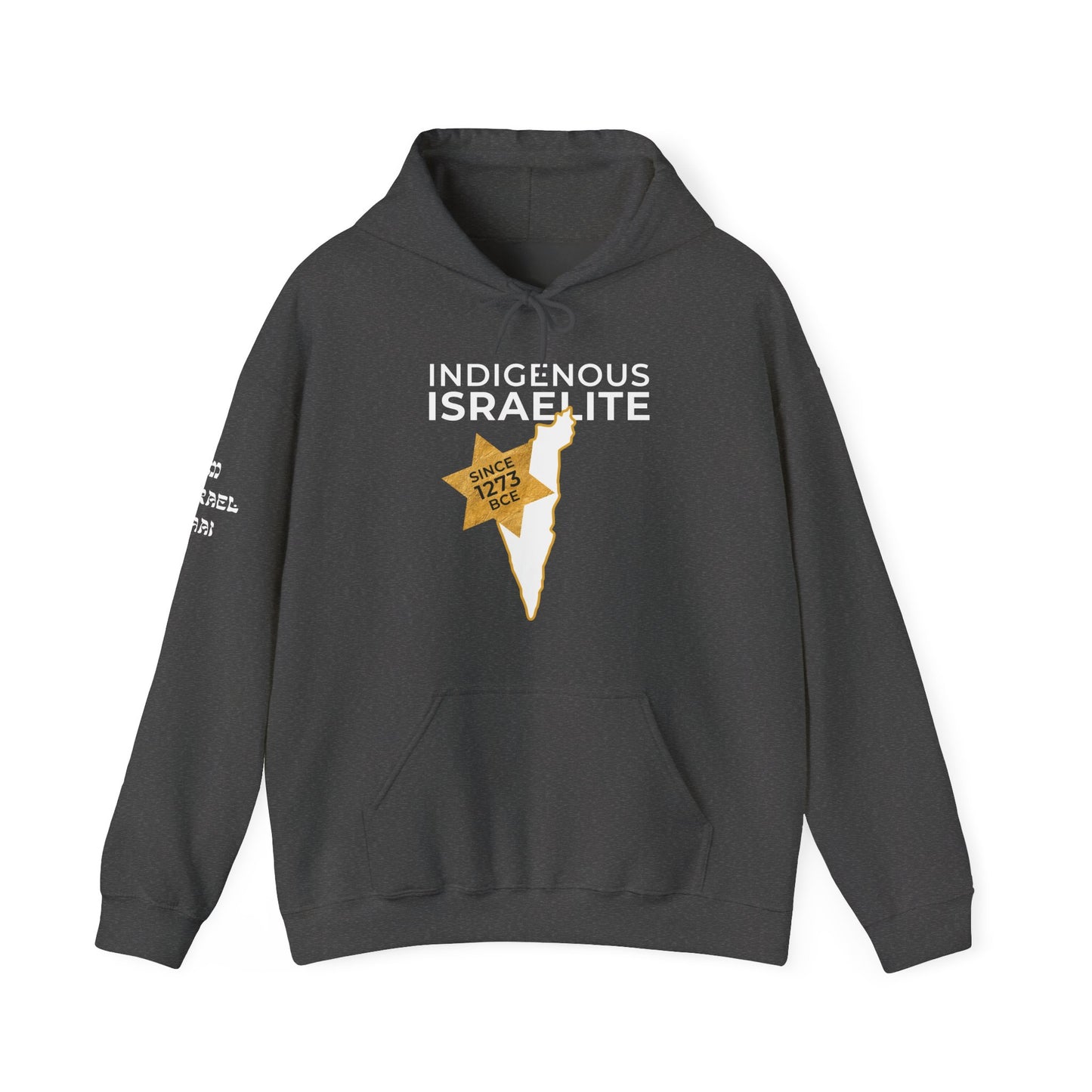 Indigenous Israelite (Unisex) hoodie - Jewish/Israel Pride