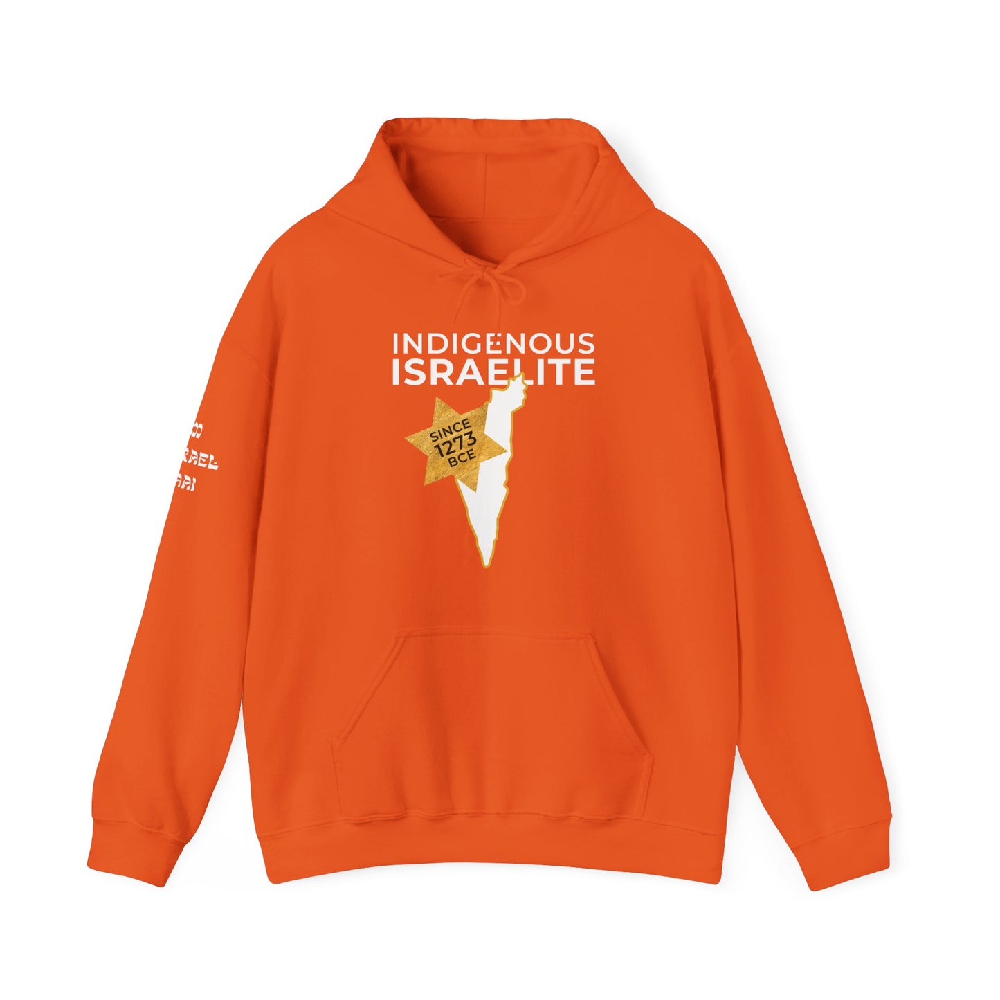 Indigenous Israelite (Unisex) hoodie - Jewish/Israel Pride