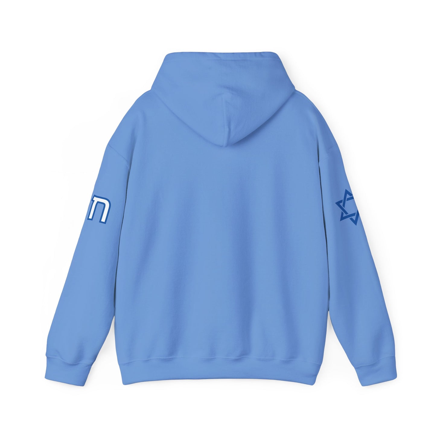 Soul on Sleeve (Unisex) hoodie - Jewish/Israel Pride