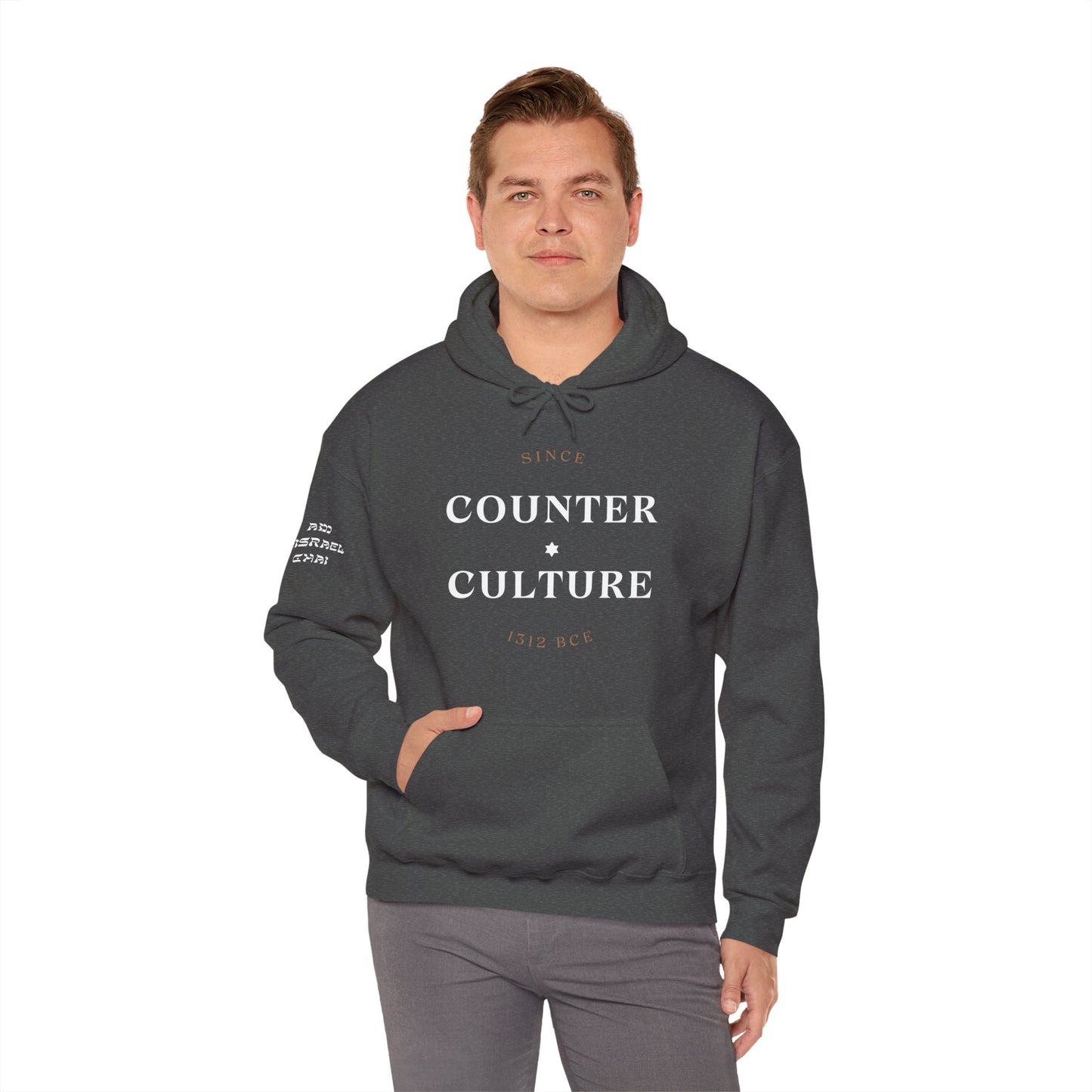 Counter Culture (Unisex) hoodie - Jewish/Israel Pride