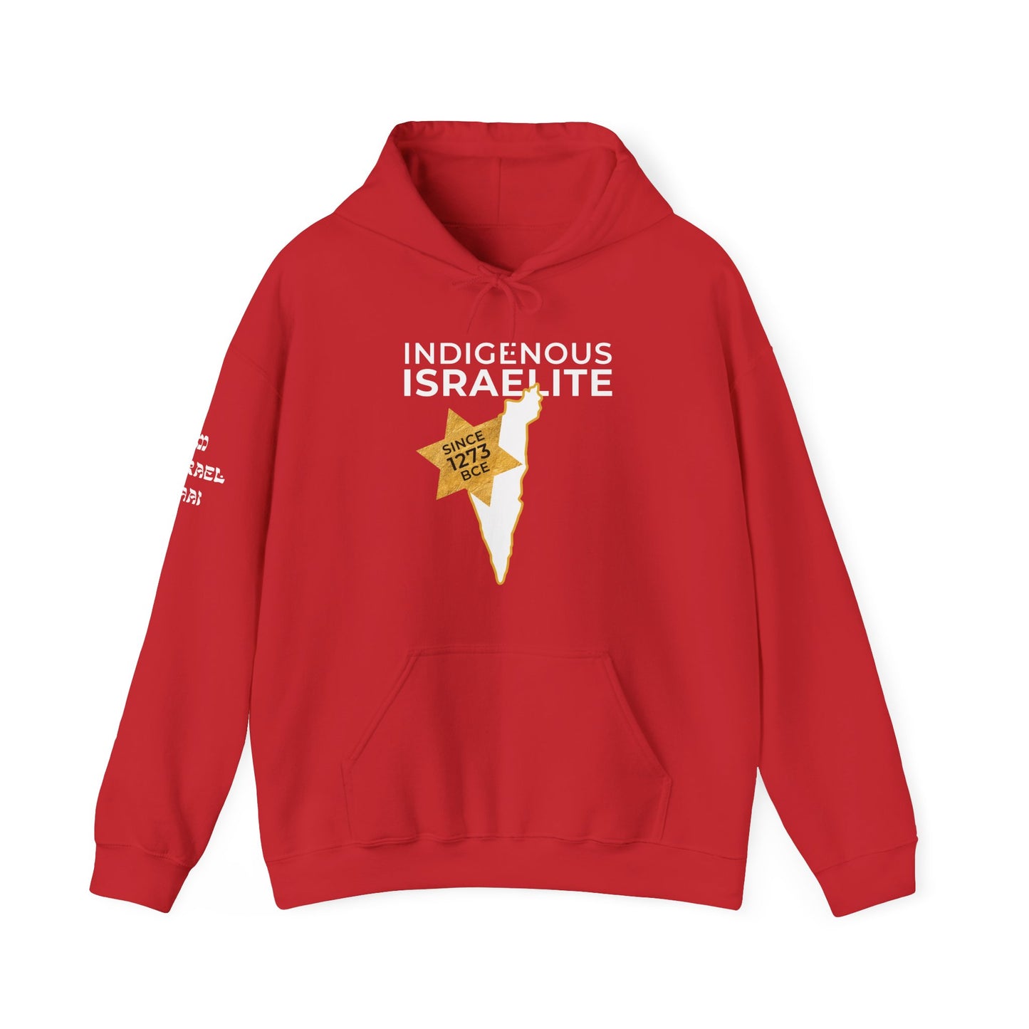 Indigenous Israelite (Unisex) hoodie - Jewish/Israel Pride
