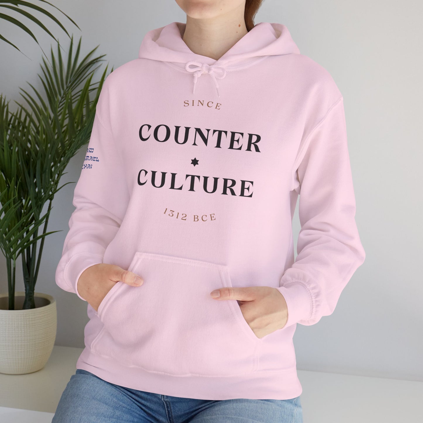Counter Culture (Unisex) hoodie - Jewish/Israel Pride