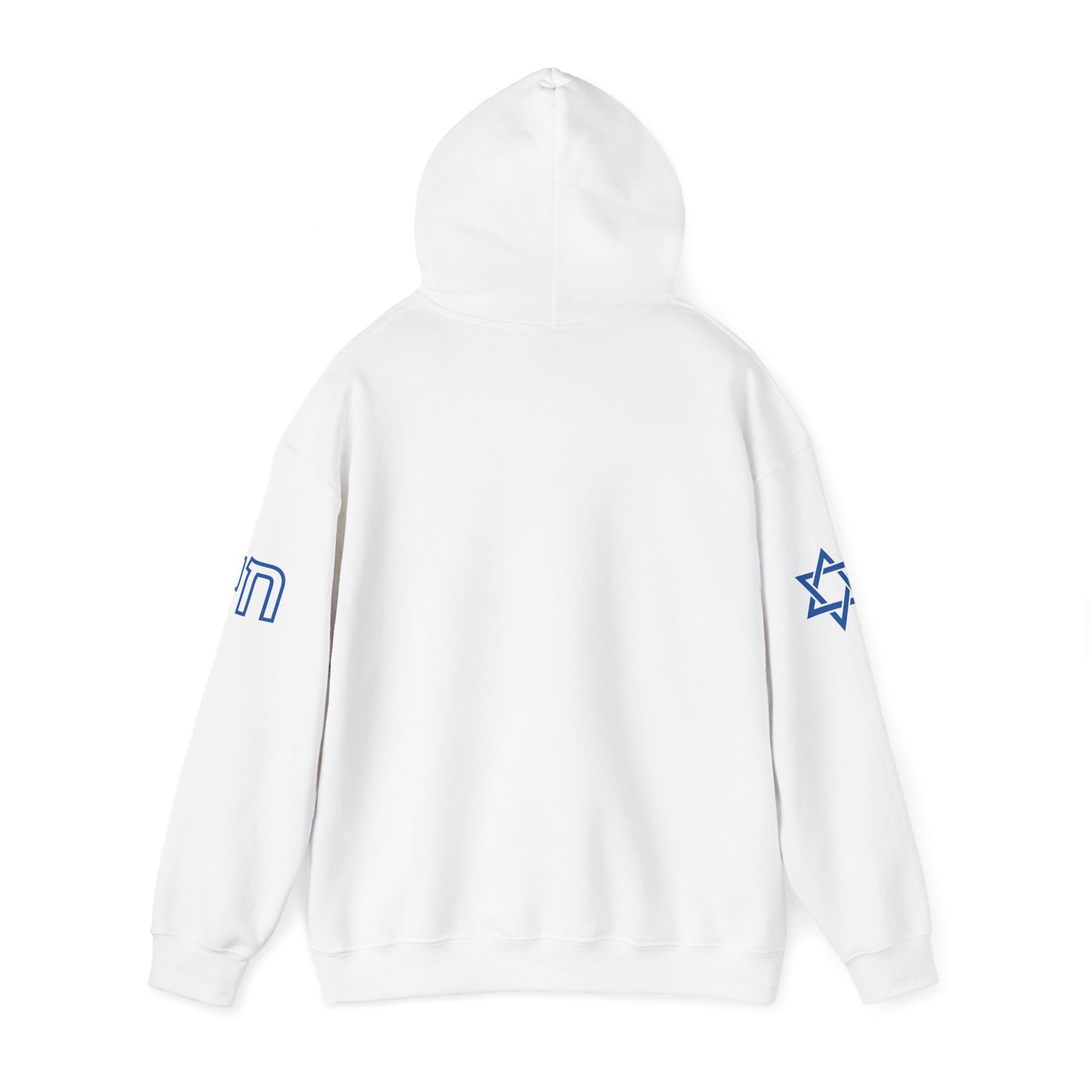 Soul on Sleeve (Unisex) hoodie - Jewish/Israel Pride