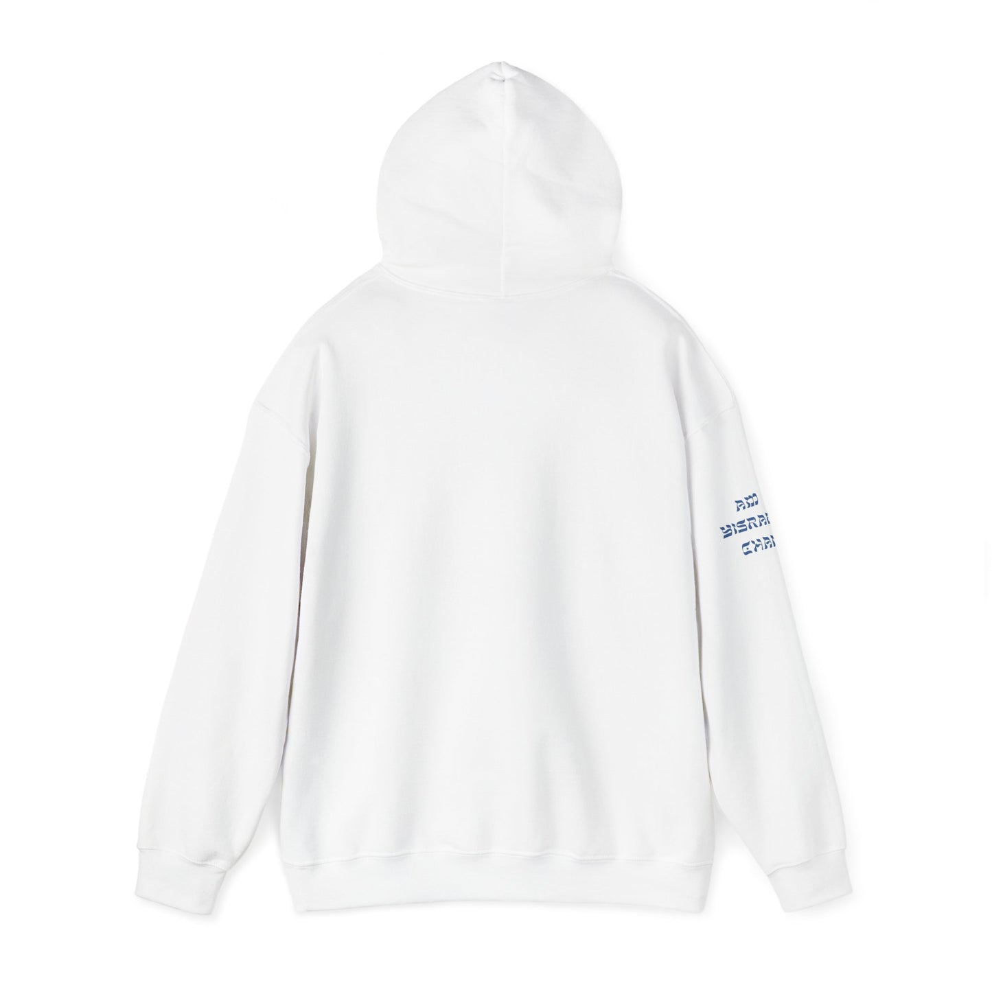 Counter Culture (Unisex) hoodie - Jewish/Israel Pride