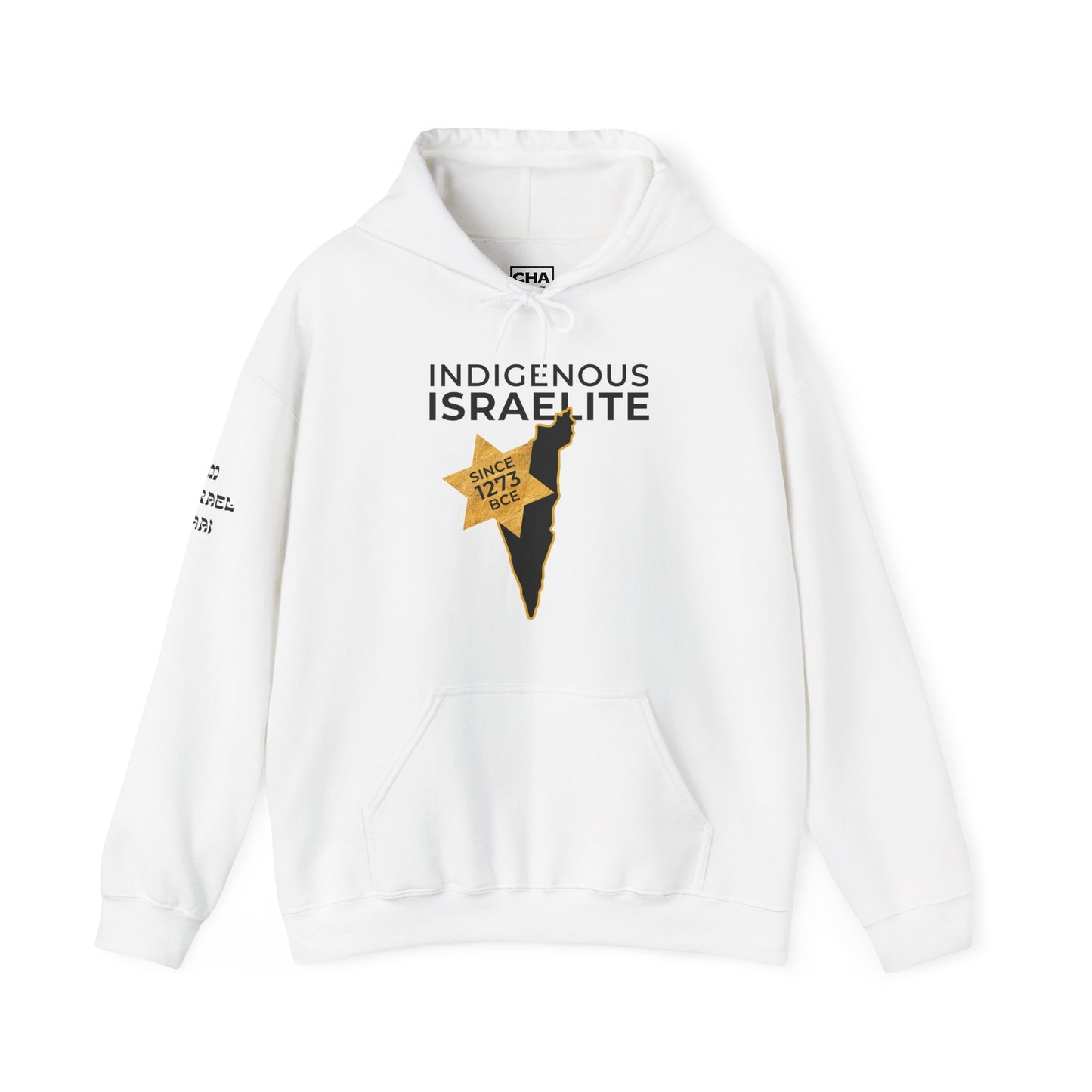 Indigenous Israelite (Unisex) hoodie - Jewish/Israel Pride