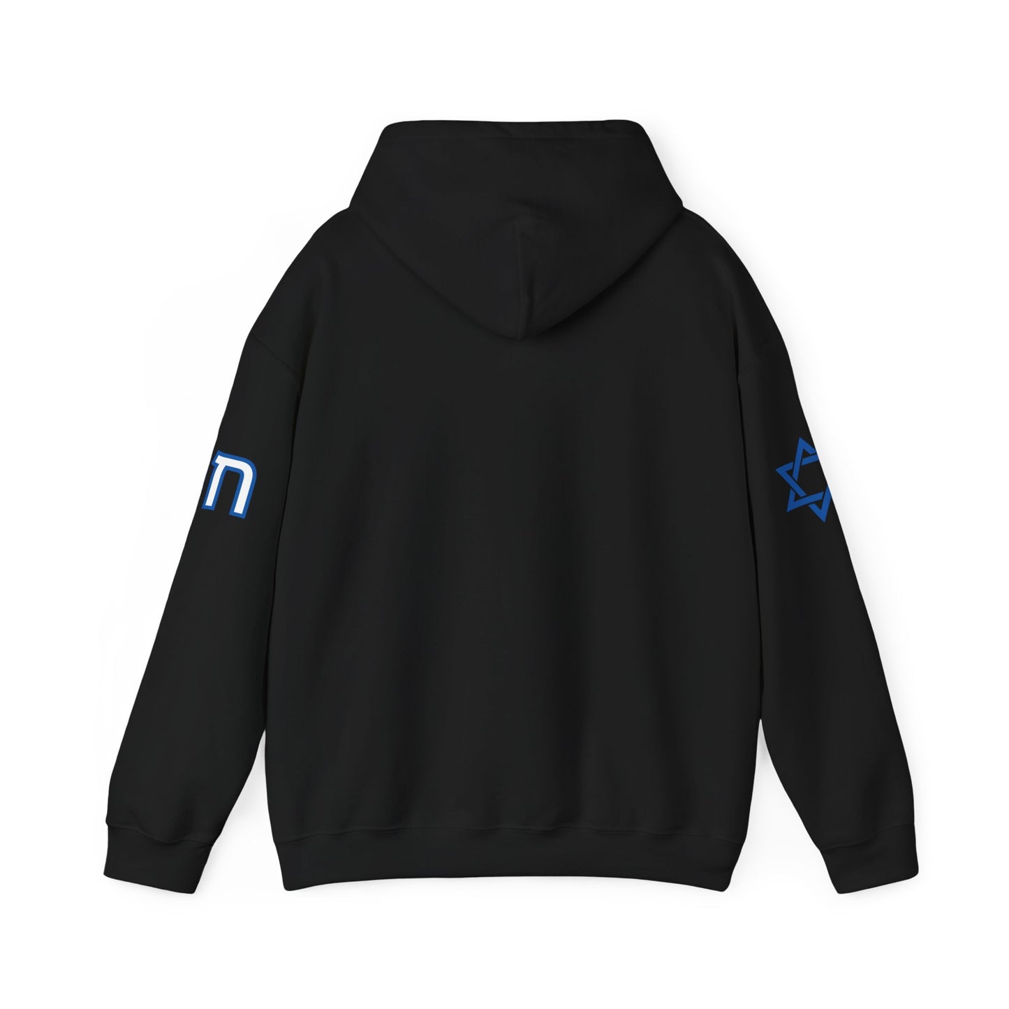 Soul on Sleeve (Unisex) hoodie - Jewish/Israel Pride