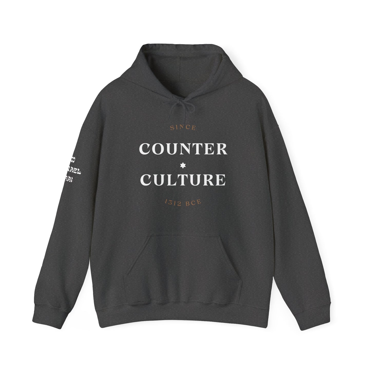 Counter Culture (Unisex) hoodie - Jewish/Israel Pride