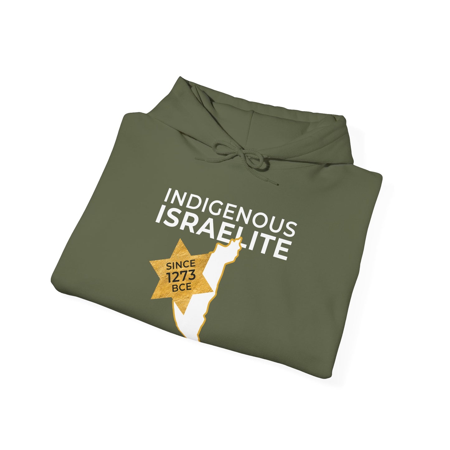 Indigenous Israelite (Unisex) hoodie - Jewish/Israel Pride